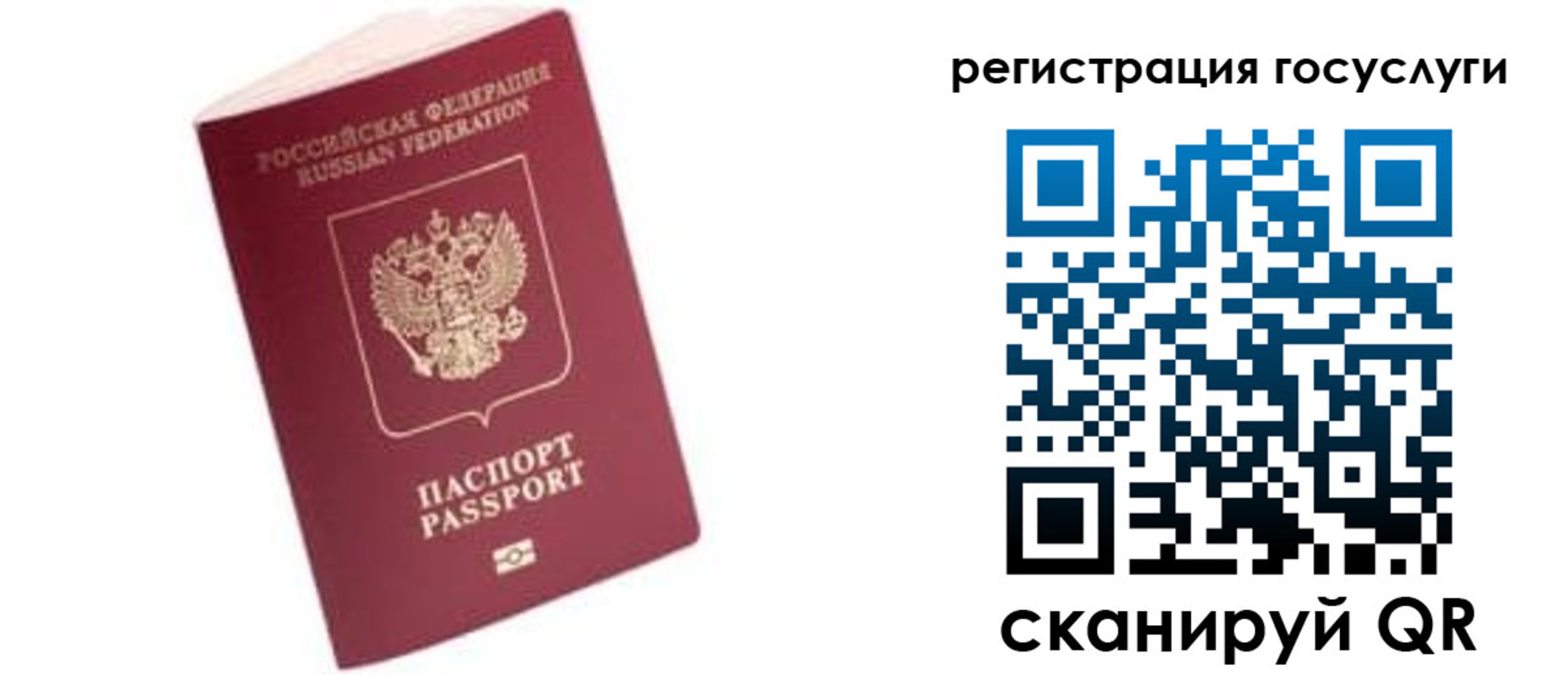 прописка поиск в Ивановской области